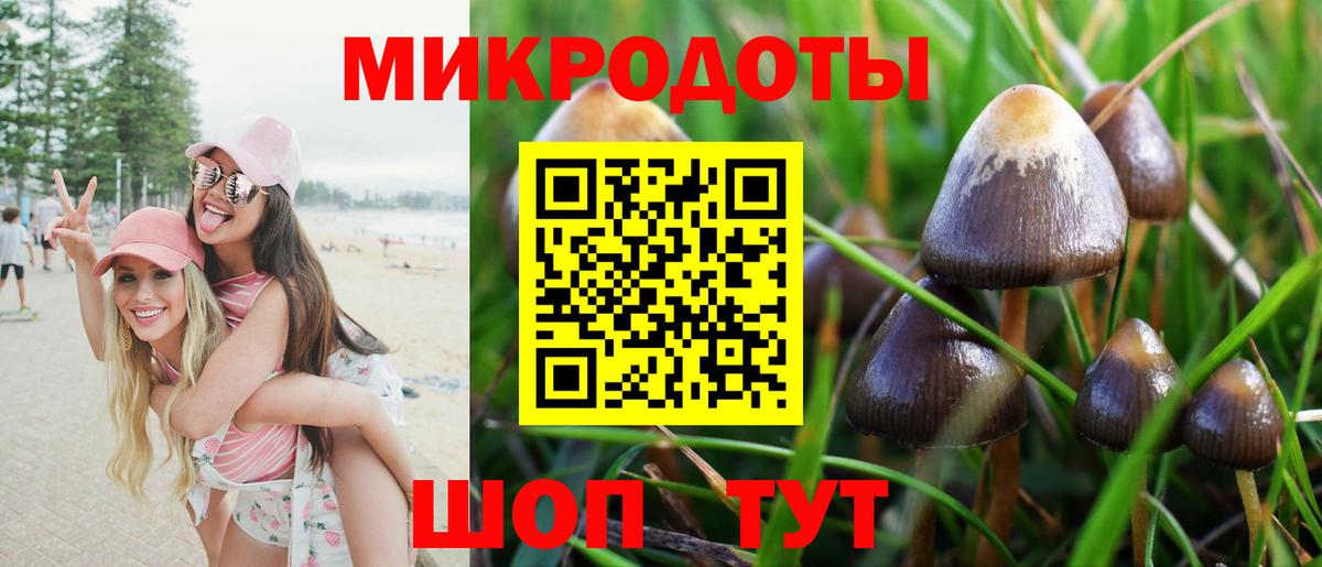 Куйбышев  Псилоцибиновые грибы Psilocybe  Вход с VPN 